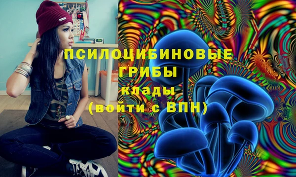 jwh Волоколамск