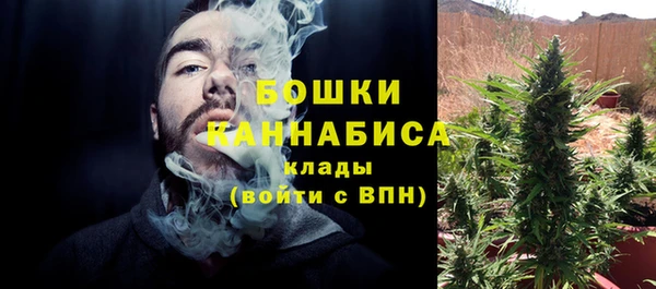 твердый Володарск