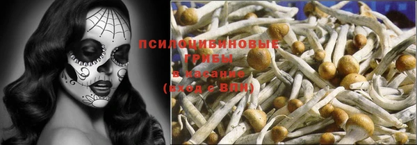 твердый Володарск